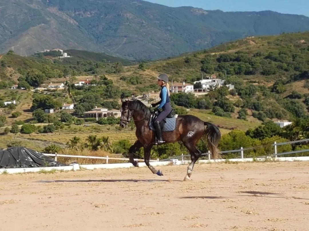 Les Chevaux De Coeur Bed & Breakfast Estepona 0*,  Spain