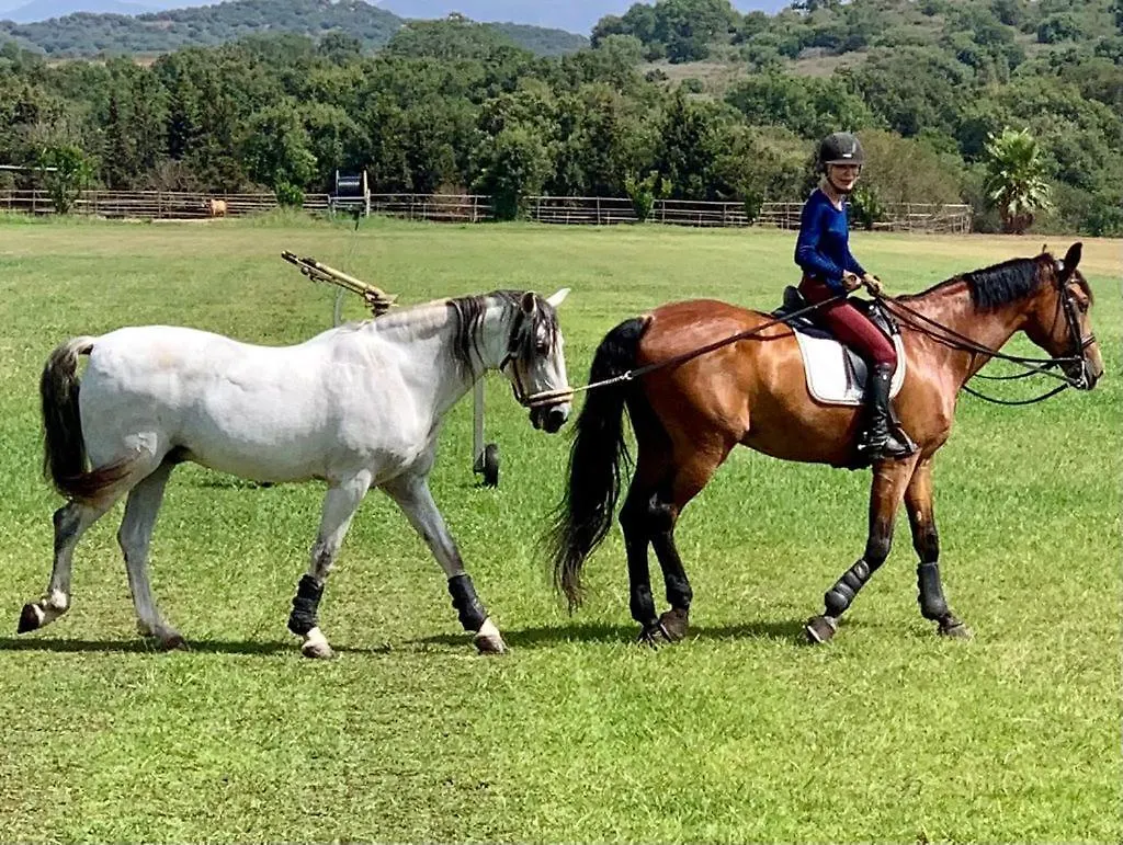 Les Chevaux De Coeur Bed & Breakfast Estepona